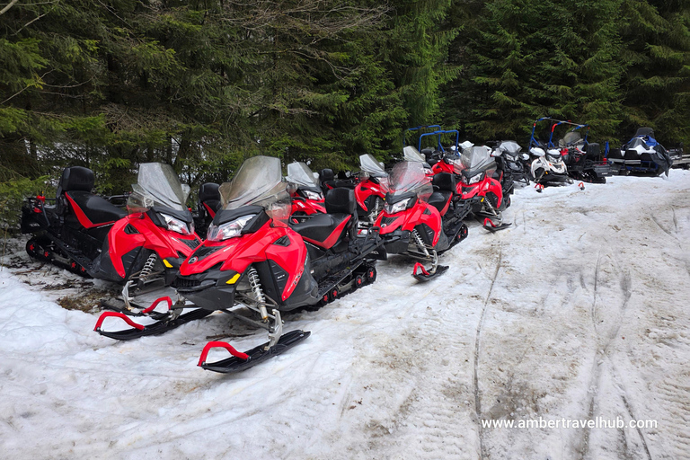 From Bucharest: Private Snowmobile Adventure & Castles Tour