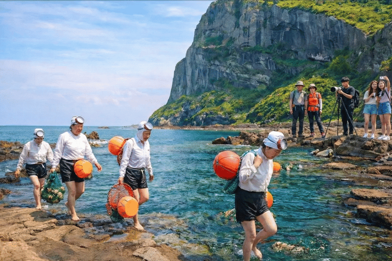 Jeju Island: Udo Island, Rail Bike, and Market Day Tour Private Tour (1-6pax) [9hr]