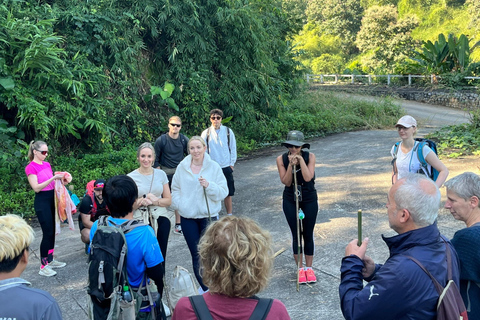 Chiang Rai: Jungle Adventure-Group Trekking & Bamboo Cooking