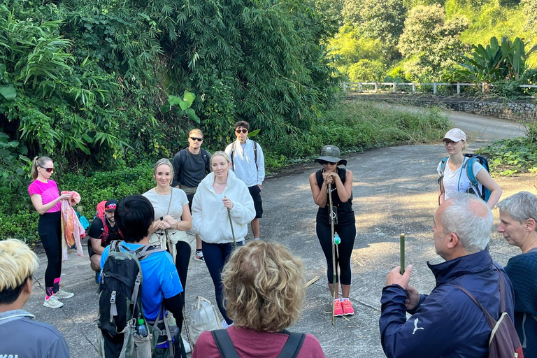 Chiang Rai: Jungle Adventure-Group Trekking & Bamboo Cooking