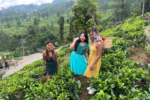 Colombo: Nuwara Eliya: Jardins de chá, charme colonial e chá da tarde