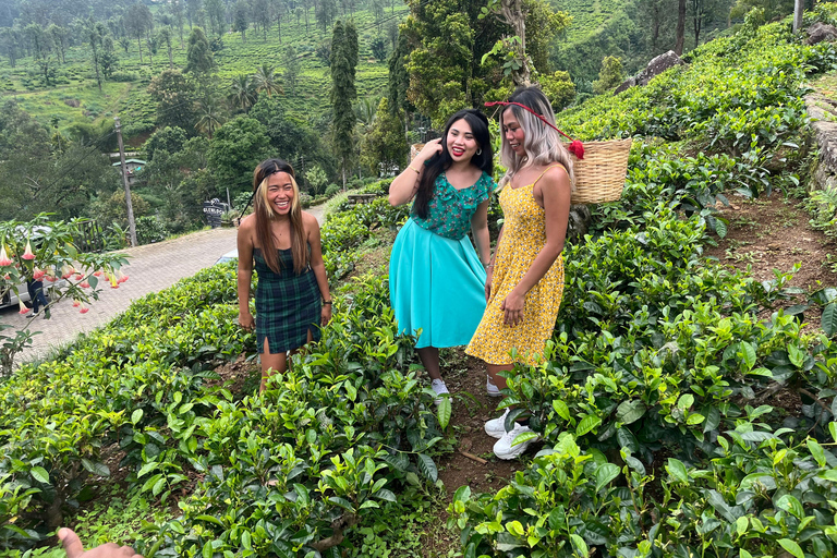 Colombo: Nuwara Eliya: Giardini del tè, fascino coloniale e High Tea