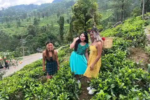 Colombo : Nuwara Eliya : Jardins de thé, charme colonial et High Tea