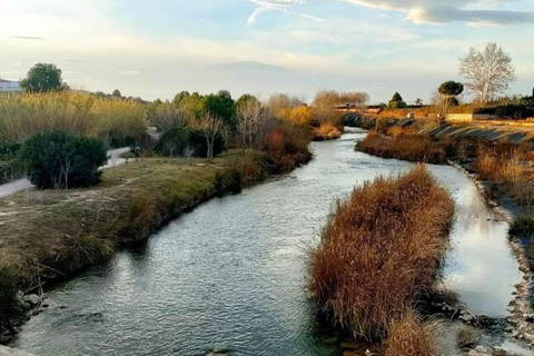 Active Bike Tour: River Turia Natural Park. Private Bike Tour 5 hours