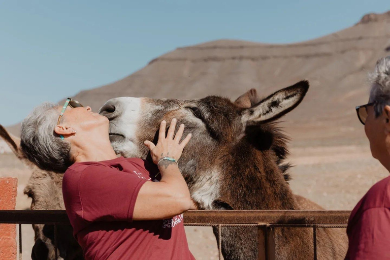 La Academia de los Animales - Visita al Refugio