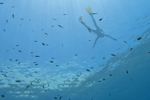 Nice: Snorkeling trip by boat, Mala Grotto, Villefranche harbor