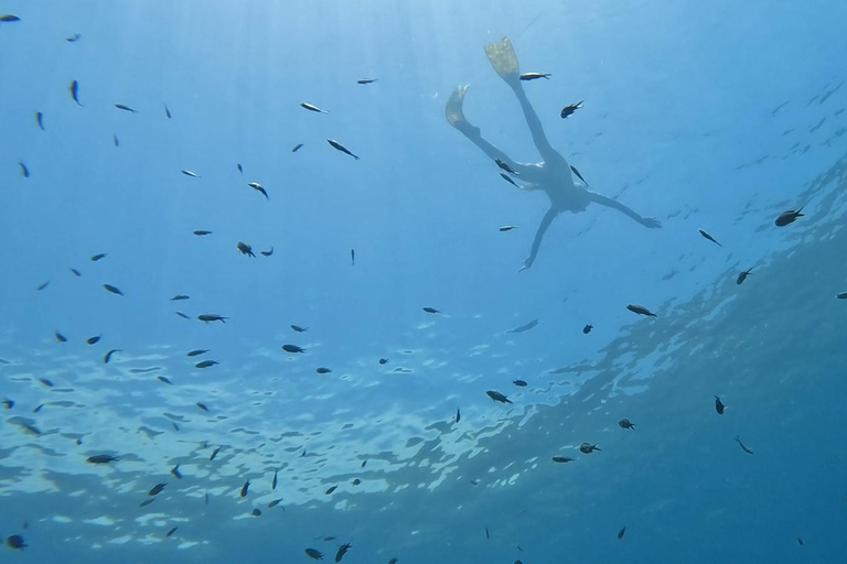 Nice: Snorkeling trip by boat, Mala Grotto, Villefranche harbor