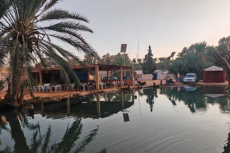 جربة: رحلة سفاري لليلة واحدة في خيام البربر.