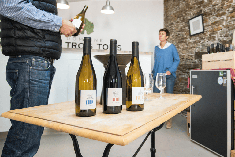 Visit an estate and taste wines in the Nantes vineyards