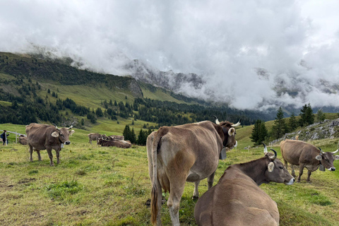 Lucerne: Alpine Playground, Monster Scooter, & Old Town Tour