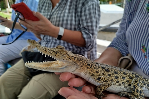 Bentota Boat Safari Experience – Nature Wildlife Relaxation