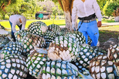 Tequila Tour en proeverij op het platteland met vervoer