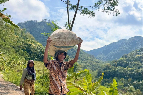 Selogriyo Temple and Java Rice Terrace Guided Trekking Tour Selogriyo Temple Java Rice Terrace Guided Trekking Tour