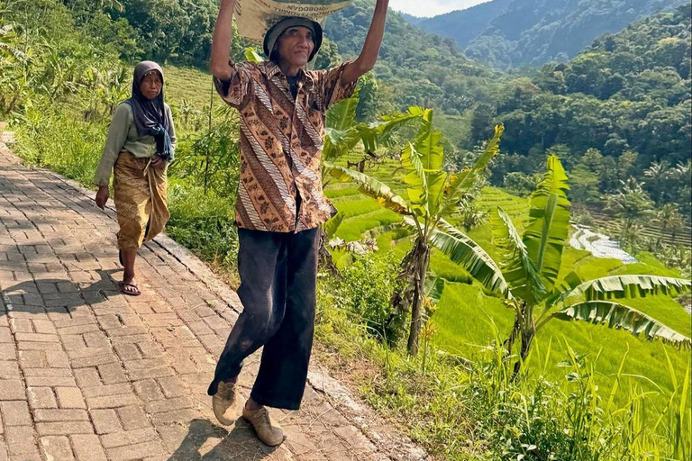 Selogriyo Temple and Java Rice Terrace Guided Trekking Tour Selogriyo Temple Java Rice Terrace Guided Trekking Tour