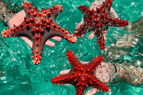 From Lombok: Gili Nanggu, Sudak, & Kedis Island Hopping Tour