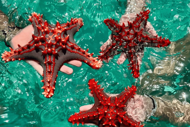 From Lombok: Gili Nanggu, Sudak, & Kedis Island Hopping Tour