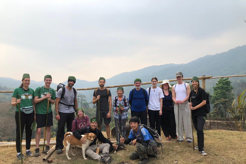 Chiang Rai: Jungle Adventure-Group Trekking & Bamboo Cooking