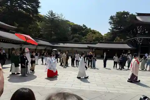 Tokyo/Yokohama/Kamakura: Guided Walking Experience