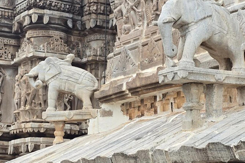 جولة خاصة من مومباي إلى أودايبور في نفس اليوم بالطائرةجولات خاصة لمدة يومين في مومباي وجولة في نفس 