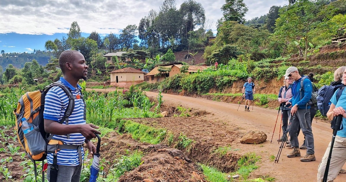 Foresta pluviale e monti Usambara — Usambara, Tanzania