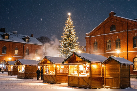 From Nagoya: UNESCO Shirakawa-go Winter Illumination