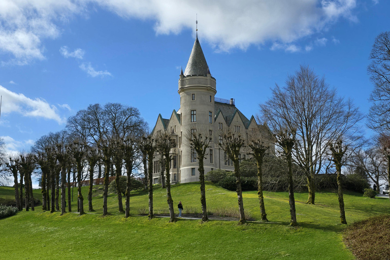 Bergen in Tesla: dall&#039;età del ferro alla vita modernaTour di 3 ore