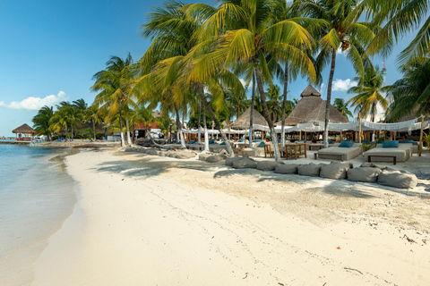 Van Riviera maya; catamaran alleen voor volwassenen naar isla mujeres