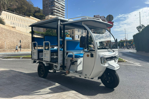 Valencia: Tour Histórico en Tuk Tuk 1H