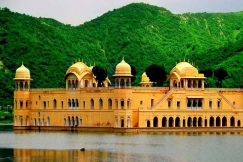 Jaipur Full day City guided TourTour with Lunch and Entry Fees