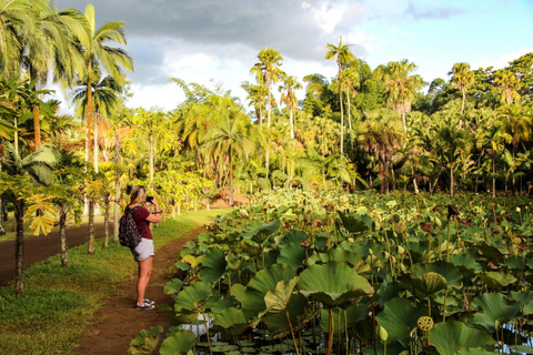 Mauritius: Port Louis Guided Half Day Tour with Hotel Pickup