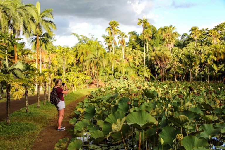 Mauritius: Port Louis Guided Half Day Tour with Hotel Pickup
