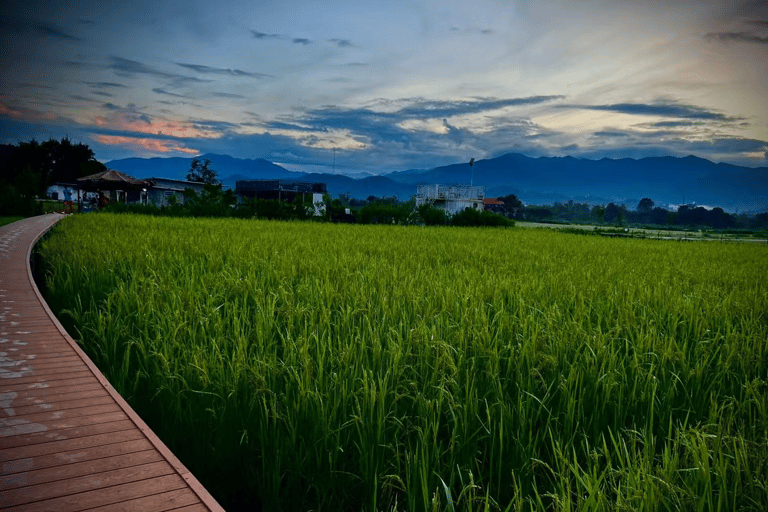 Vang Vieng:Zipline,Kayak,Nam Xay,Lagoon 2&Optional Paramotor Full-Day Adventure with Morning Paramotor