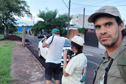 Observação de pássaros e lado brasileiro das cataratas.