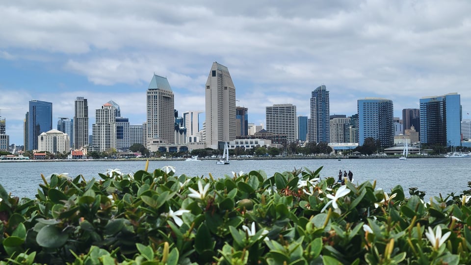 Tour privato a San Diego da Los Angeles