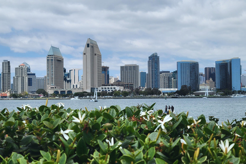 Circuit à San Diego depuis Los Angeles