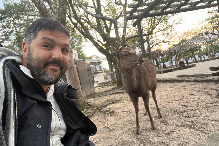 Hiroszima: wycieczka do Parku Pamięci Pokoju i na wyspę Miyajima