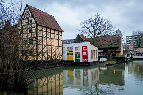 Tour a pie por Aarhus: De pueblo vikingo a metrópolis