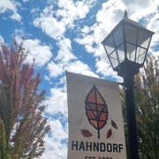 Penfolds & Hahndorf Shared Tour