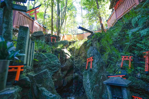 Kyoto: Randonnée cachée du sanctuaire Fushimi Inari de 3 heures