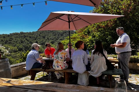 From Marseille: Aix-en-Provence Wine and Cheese Tour