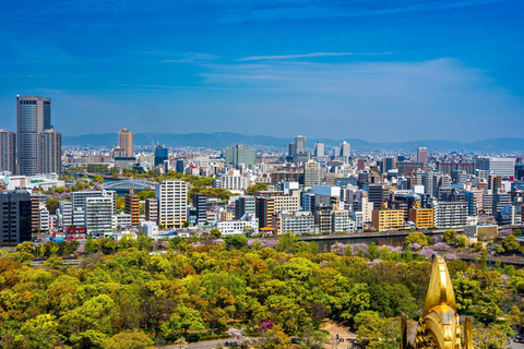 Osaka: Nara Private Day Tour