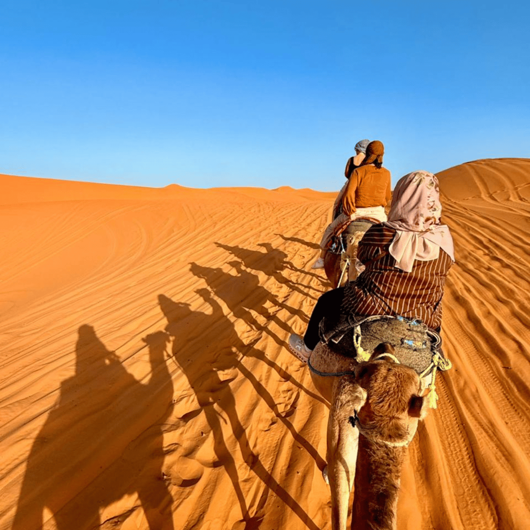 Depuis Marrakech : voyage aller-retour de 3 jours via le désert de Merzouga - dromadaire