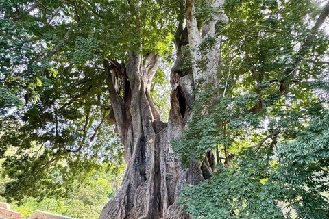Santiago Island in One Day – Nature, Culture, and History