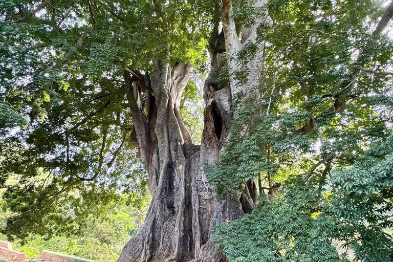Santiago Island in One Day – Nature, Culture, and History