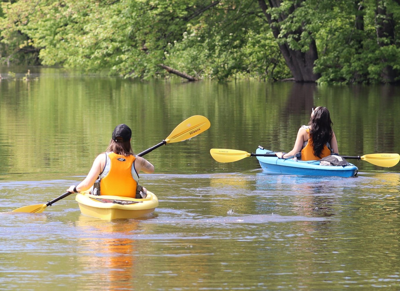 Ottawa: Kajaktur i økologisk reservat med skildpaddeobservationer