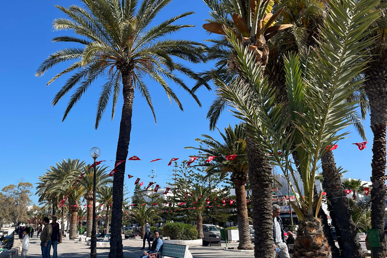 Hammamet in the Spotlight Tour: History, Sea & Wines (All In) From Hammamet (All-Inclusive)