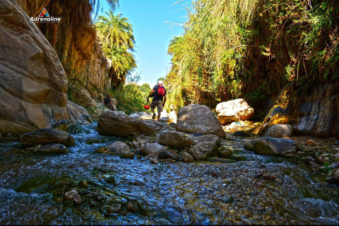 Wadi Bin Hammad Adventure & Dead Sea Day Tour from Amman