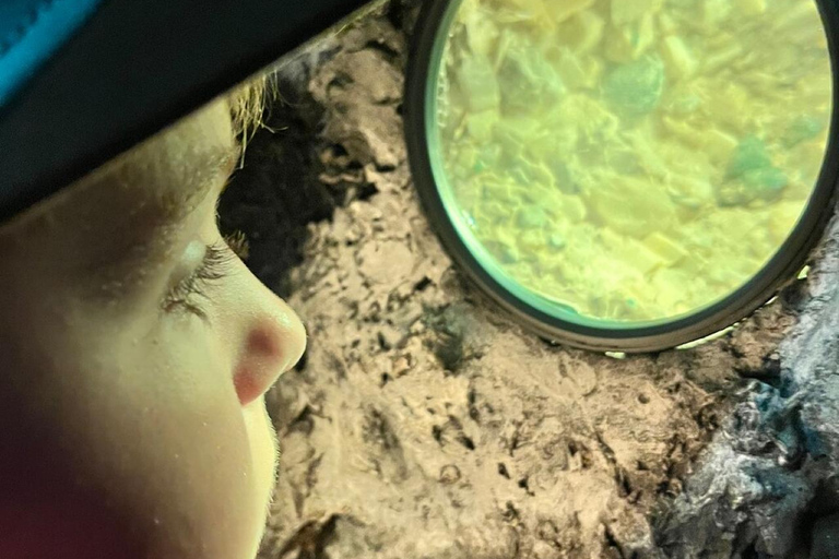 Cartagena: Aula de joalheria com esmeraldas e visita ao museu