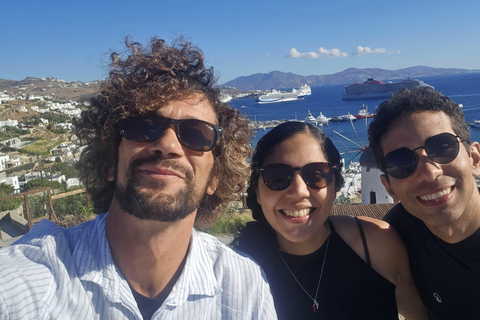 Private Tour: Customize Your Perfect Day in Mykonos