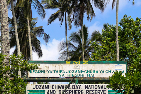 Zanzibar: Jozani Park Tour With Red Colobus Monkeys Stone Town Pickup + Entry Fees